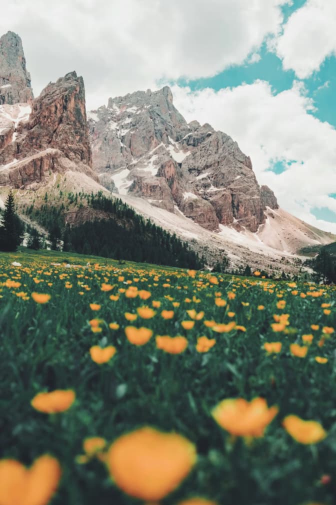 mountains